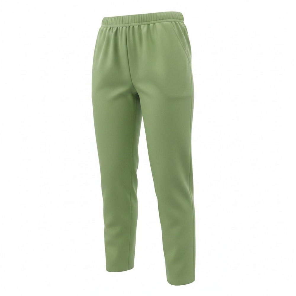 Bon Worth Womens Sage Green Elastic Waist Pull On Cozy Comfort Pants Size Medium